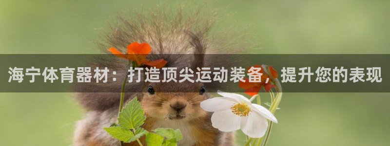 极悦官网首页:海宁体育器材:打造顶尖运动装备,提升您的表现