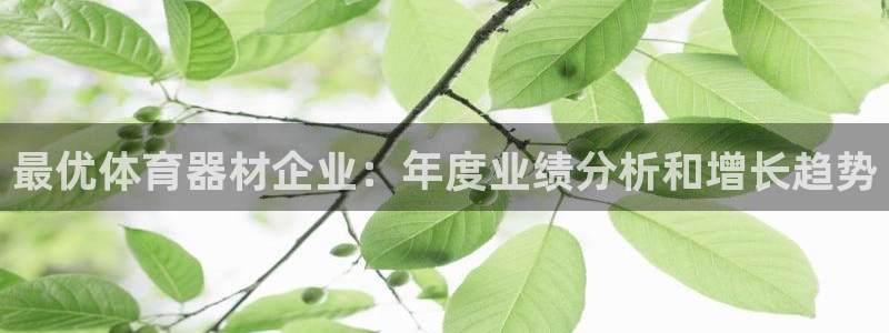 极悦平台是干什么的啊:最优体育器材企业:年度业绩分析和增长趋